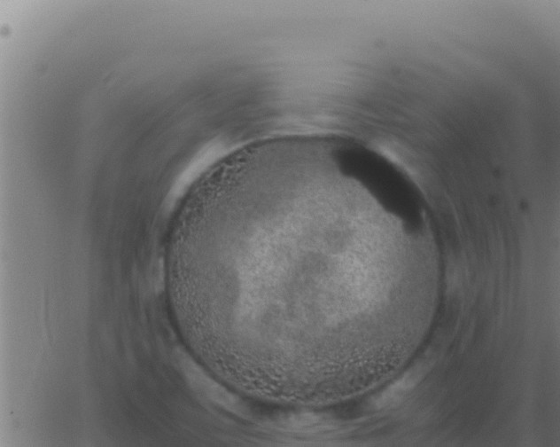 X0000062931459200601202014