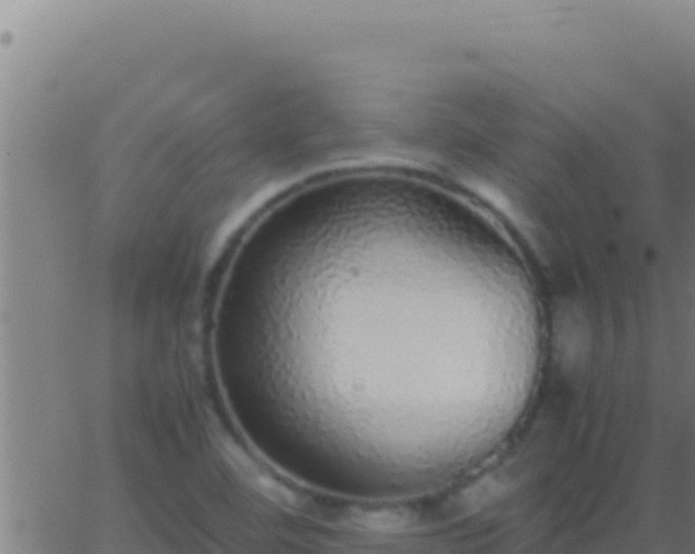 X0000062931460200601202014