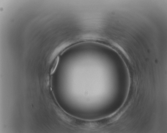 X0000062931461200601202014