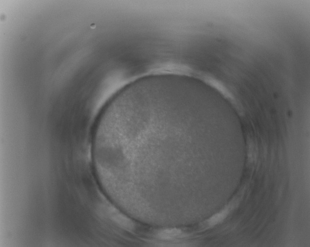 X0000062931462200601202014