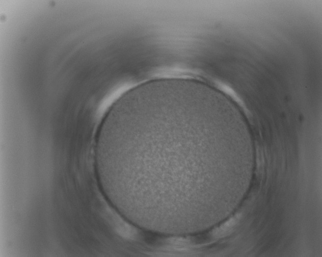 X0000062931463200601202014