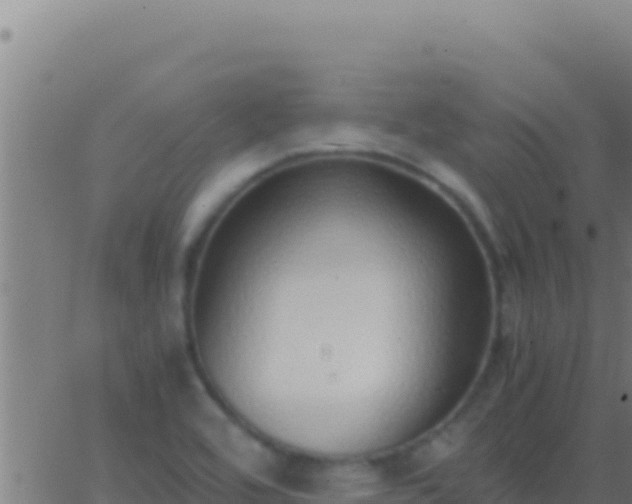 X0000062931464200601202014