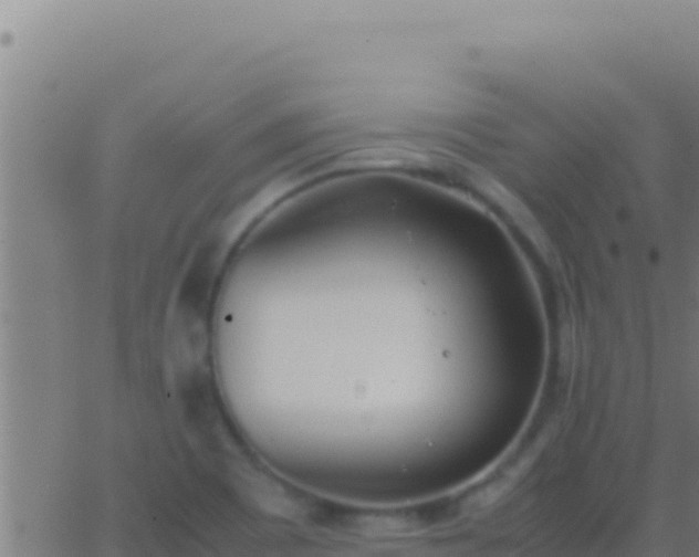 X0000062931465200601202014