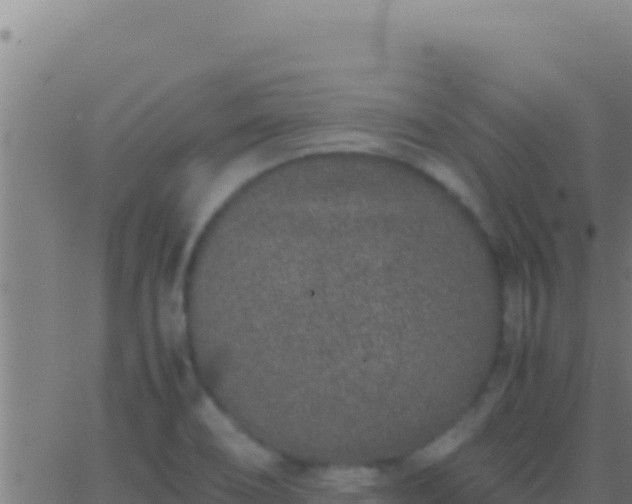 X0000062931466200601202014