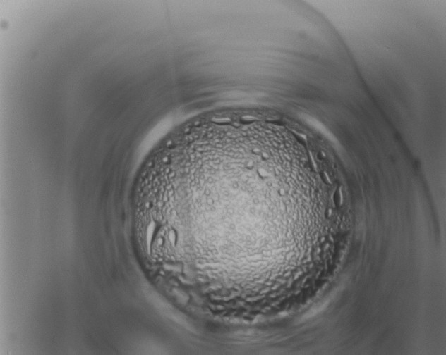 X0000062931467200601202014