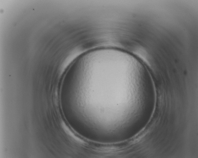 X0000062931468200601202014