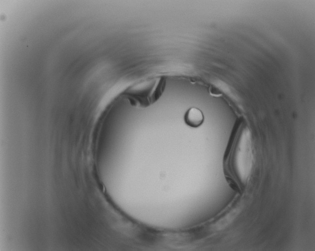 X0000062931469200601202014