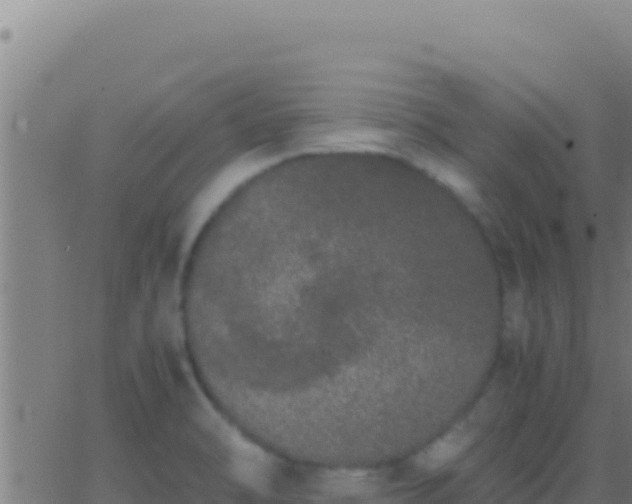 X0000062931470200601202014