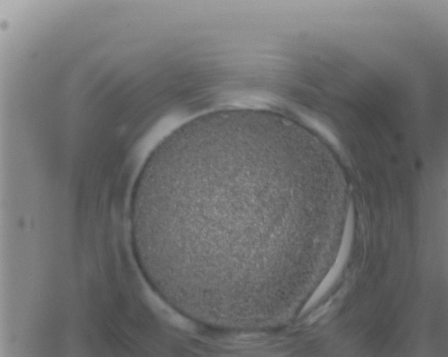 X0000062931471200601202014