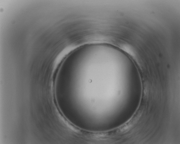 X0000062931472200601202014