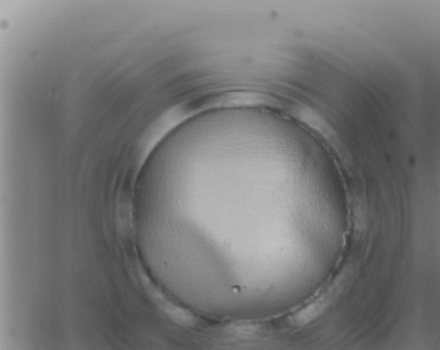 X0000062931473200601202014