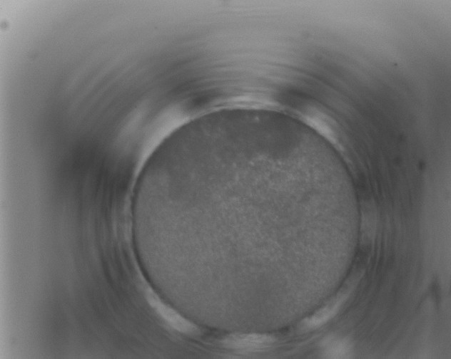 X0000062931474200601202014