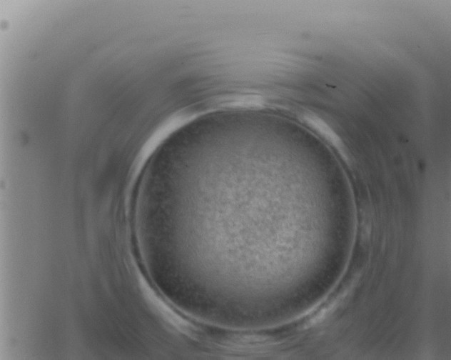 X0000062931475200601202014