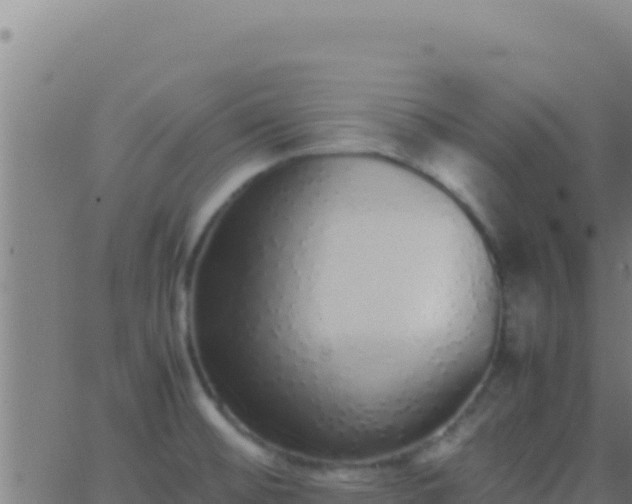 X0000062931476200601202014