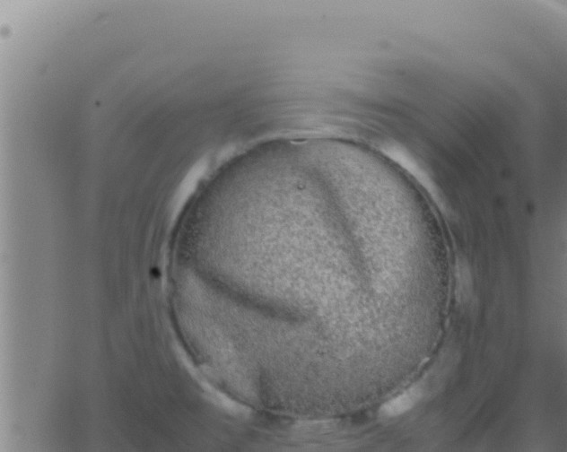 X0000062931477200601202014