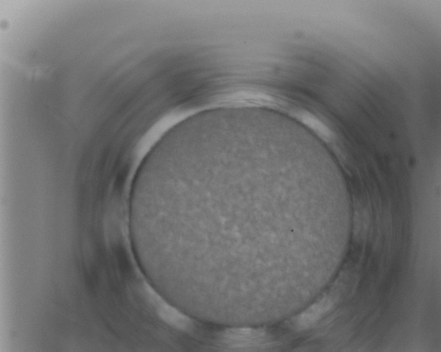 X0000062931478200601202014