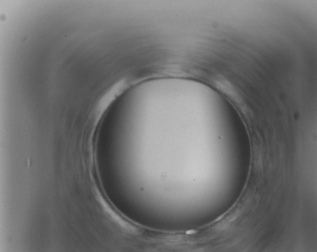 X0000062931479200601202014