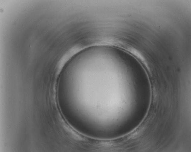 X0000062931480200601202014