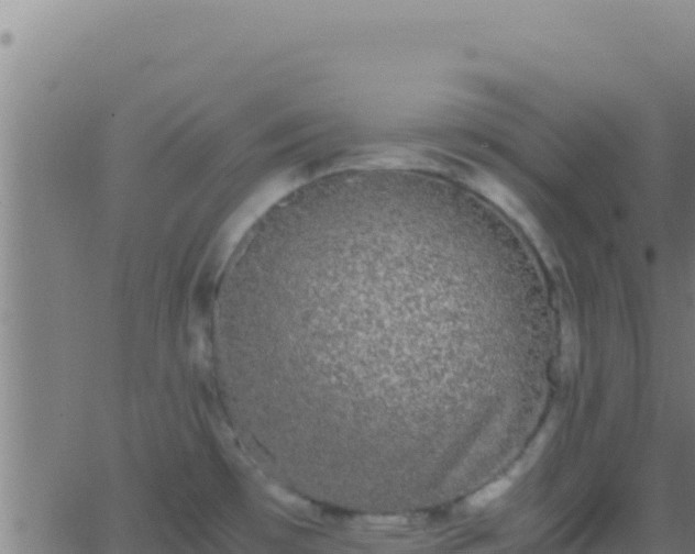 X0000062931481200601202014