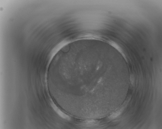 X0000062931482200601202014