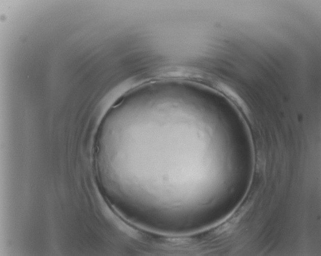 X0000062931483200601202014