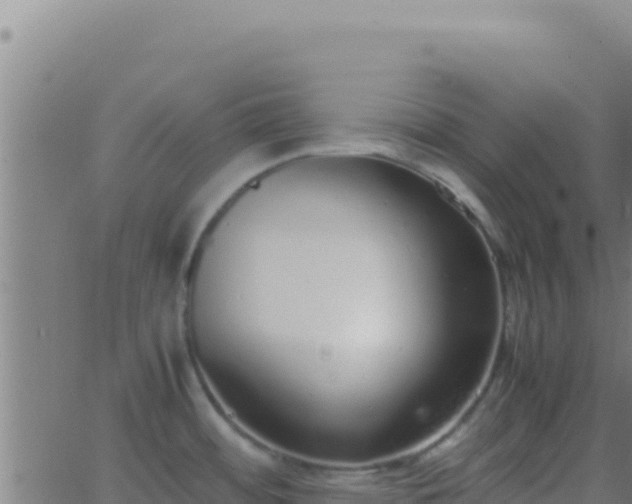 X0000062931484200601202014