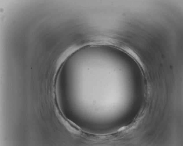 X0000062931485200601202014