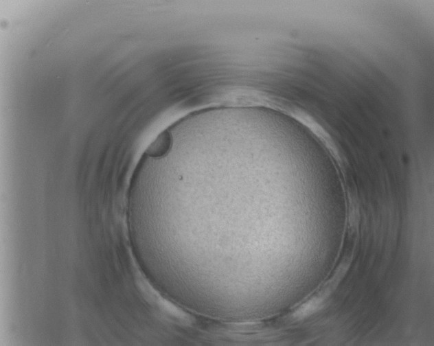 X0000062931486200601202014