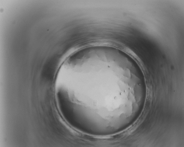 X0000062931487200601202014