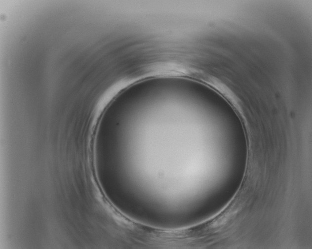 X0000062931488200601202014