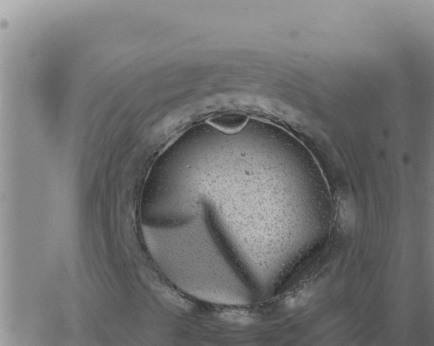 X0000062931489200601202013