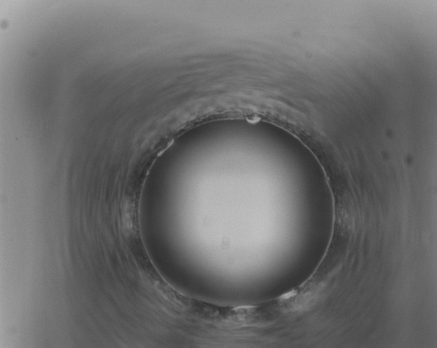 X0000062931490200601202013