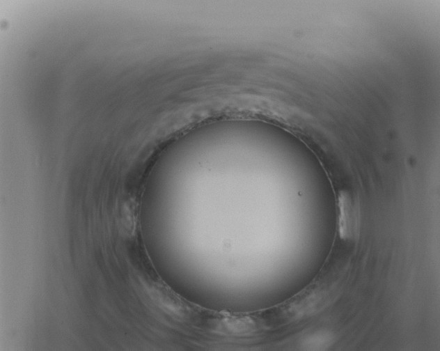 X0000062931491200601202013