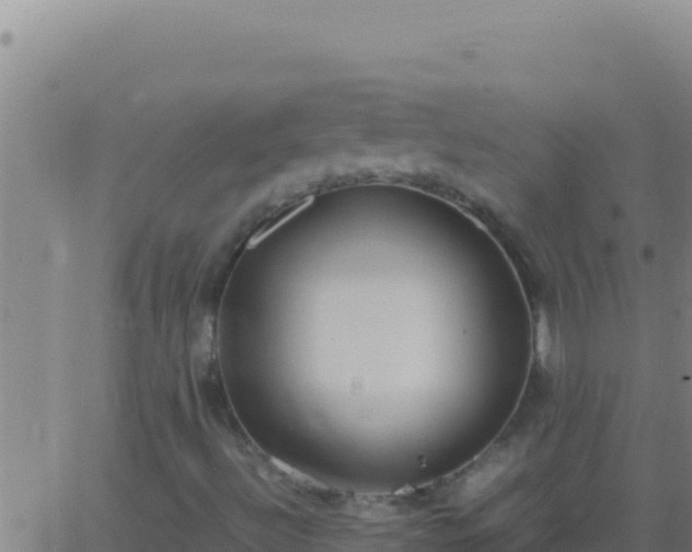 X0000062931492200601202013