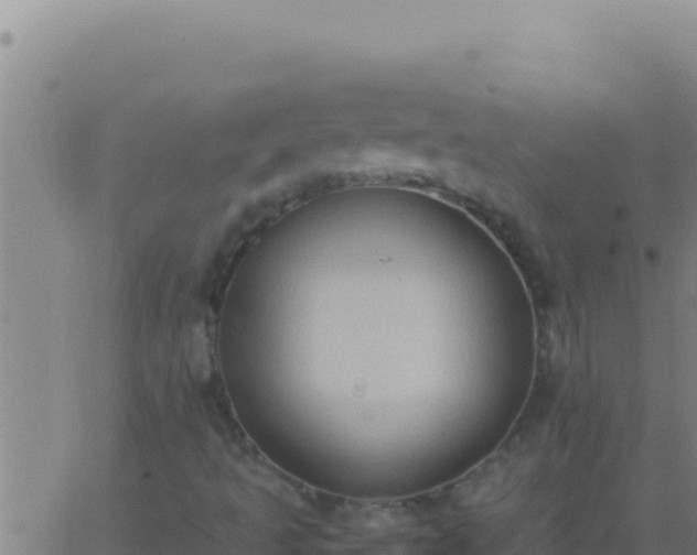 X0000062931493200601202013