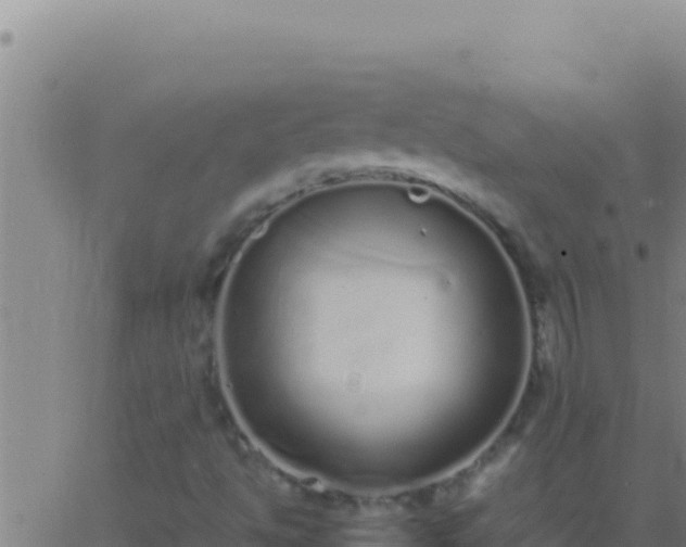 X0000062931494200601202013