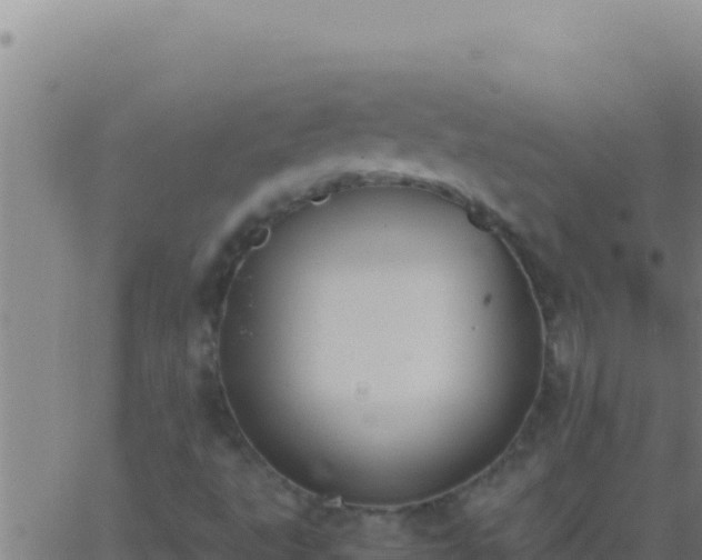 X0000062931495200601202013