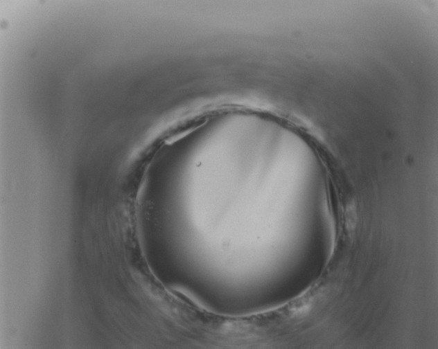 X0000062931496200601202013