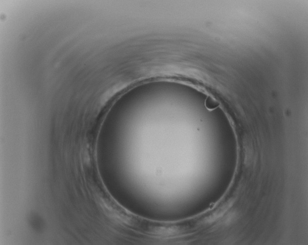 X0000062931497200601202013