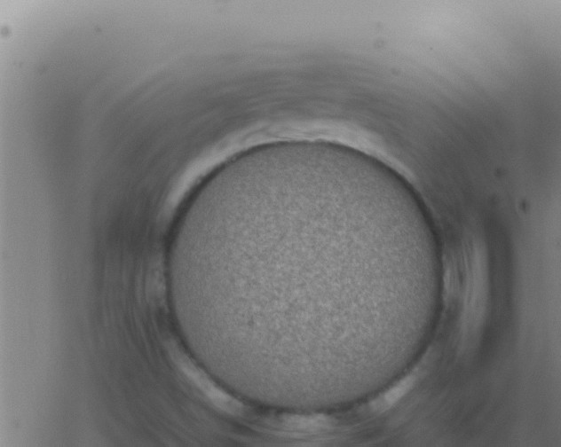 X0000062931498200601202013