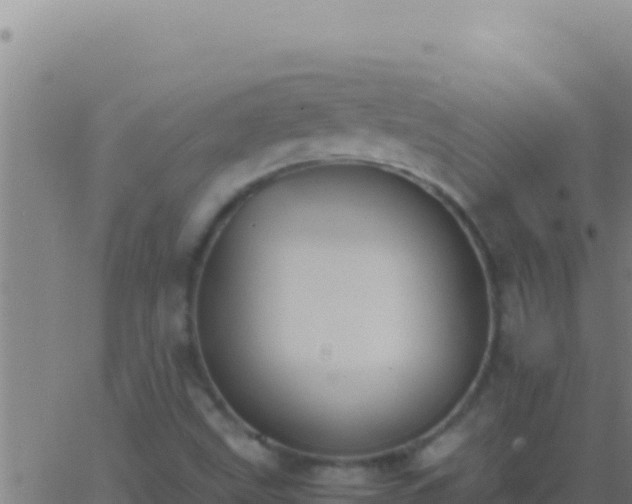 X0000062931499200601202013