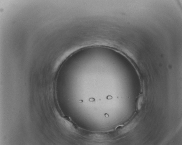 X0000062931500200601202013