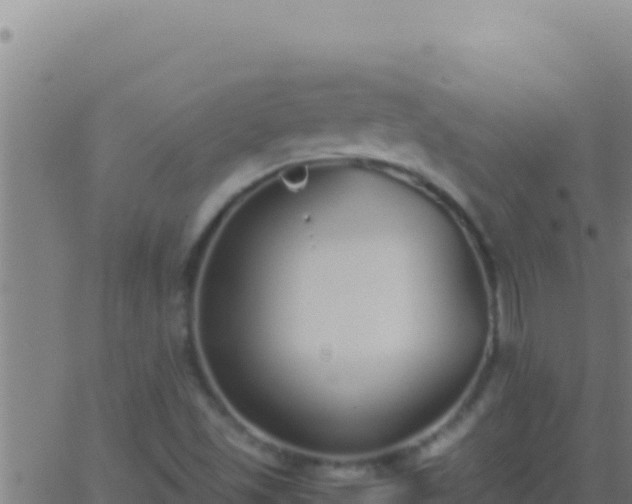 X0000062931501200601202013