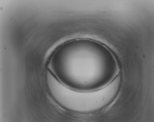 X0000062931502200601202013