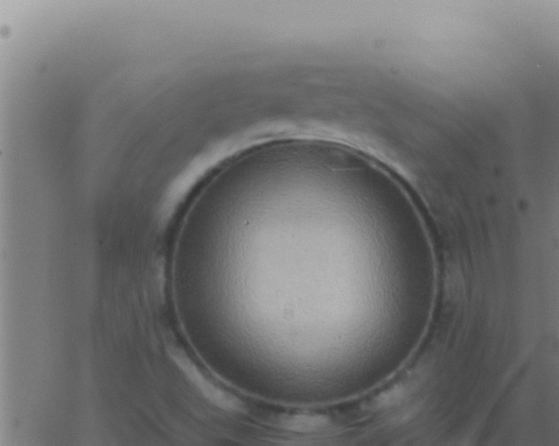 X0000062931503200601202013