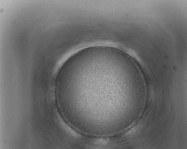 X0000062931504200601202013