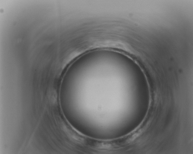 X0000062931505200601202013