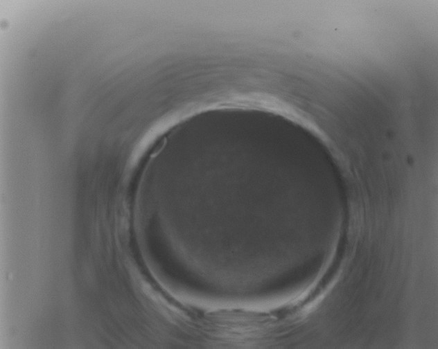 X0000062931506200601202014