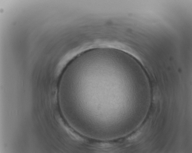 X0000062931507200601202014