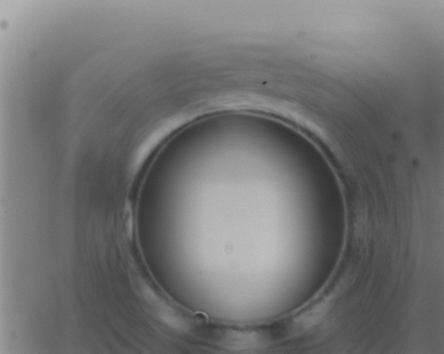 X0000062931509200601202014